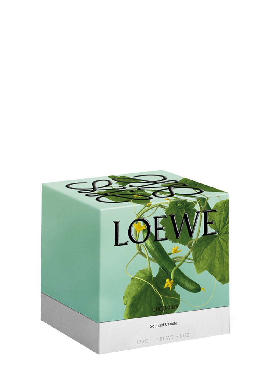 LOEWE Cucumber Candle - Small 170g | Harvey Nichols