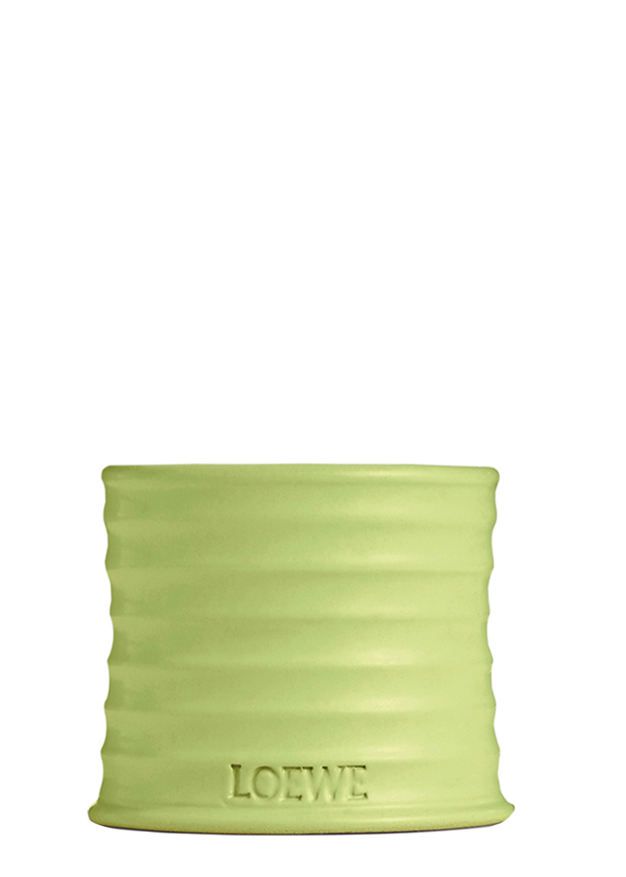 LOEWE Cucumber Candle - Small 170g | Harvey Nichols