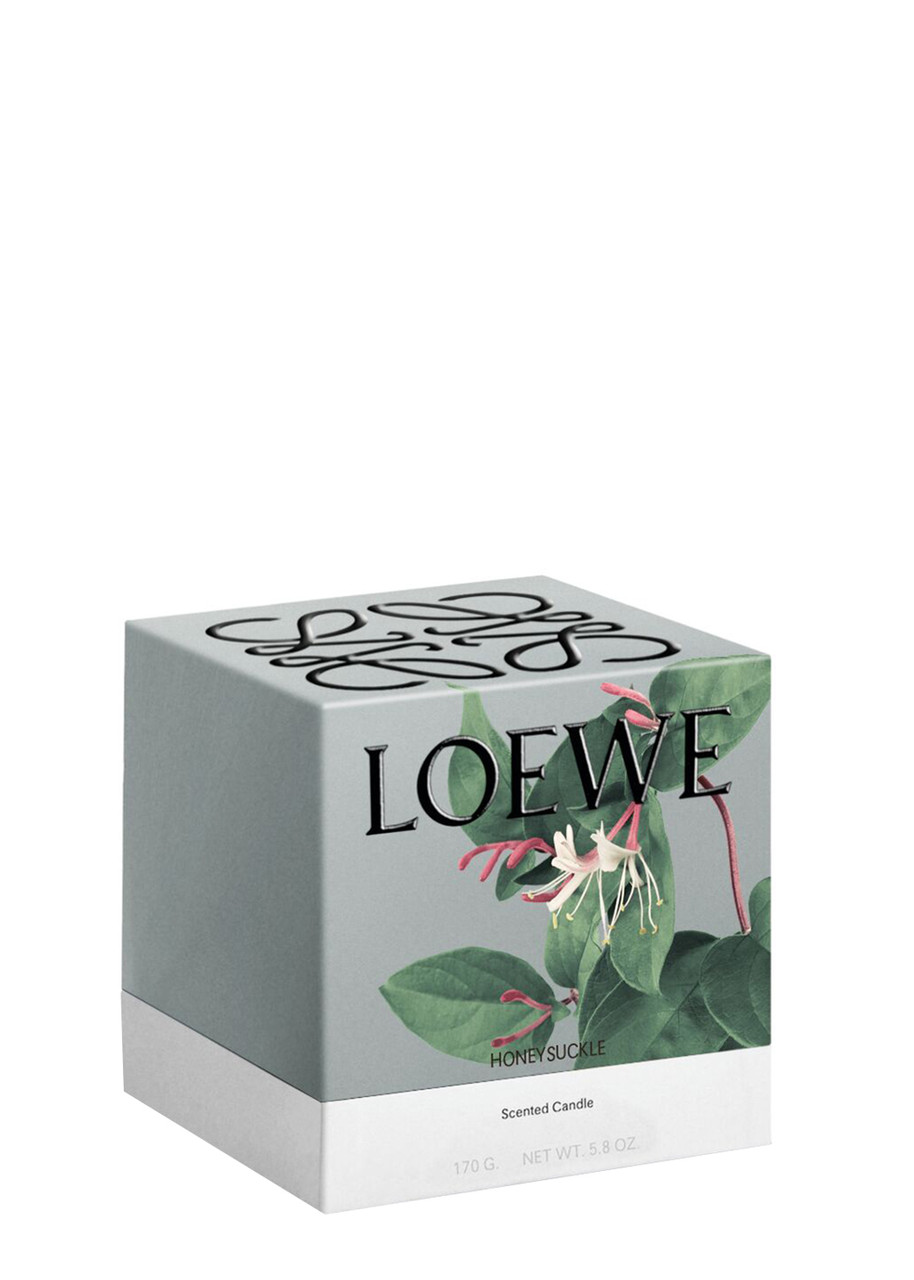 LOEWE Honeysuckle Candle - Small 170g | Harvey Nichols