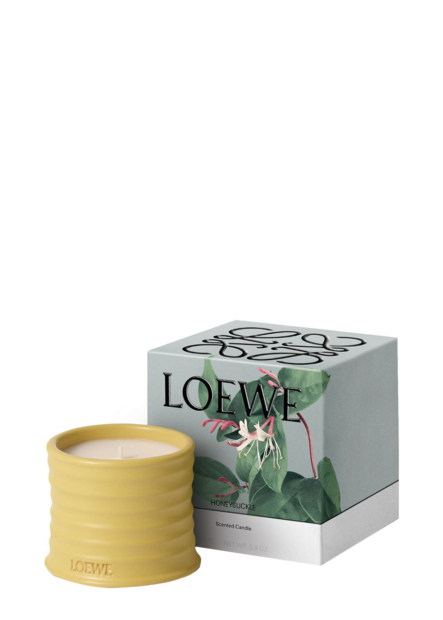 キャンドル LOEWE Honeysuckle Scented Candle 170g LOEWE PERFUMES Honeysuckle Small Scented Candle, 170g for