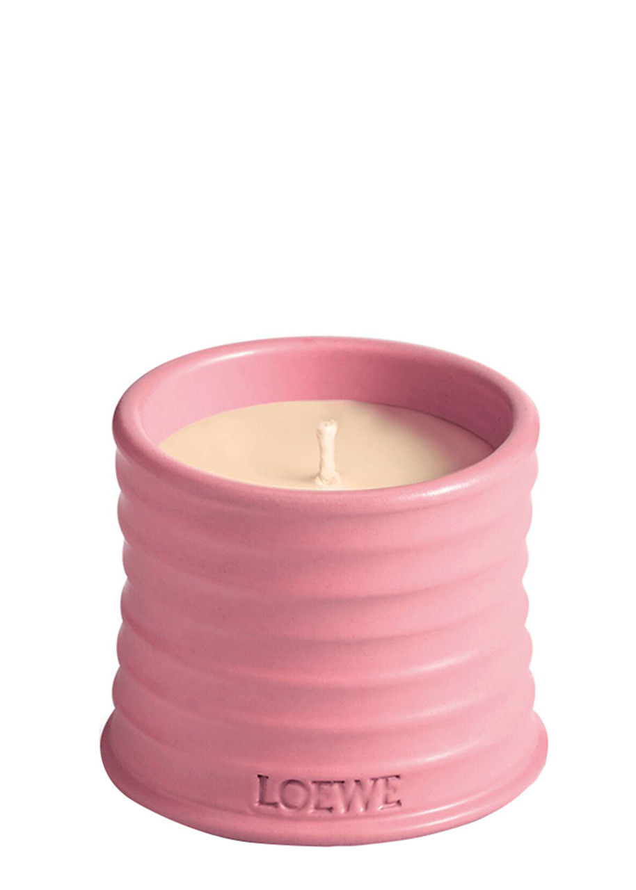 LOEWE Ivy Candle - Small 170g | Harvey Nichols