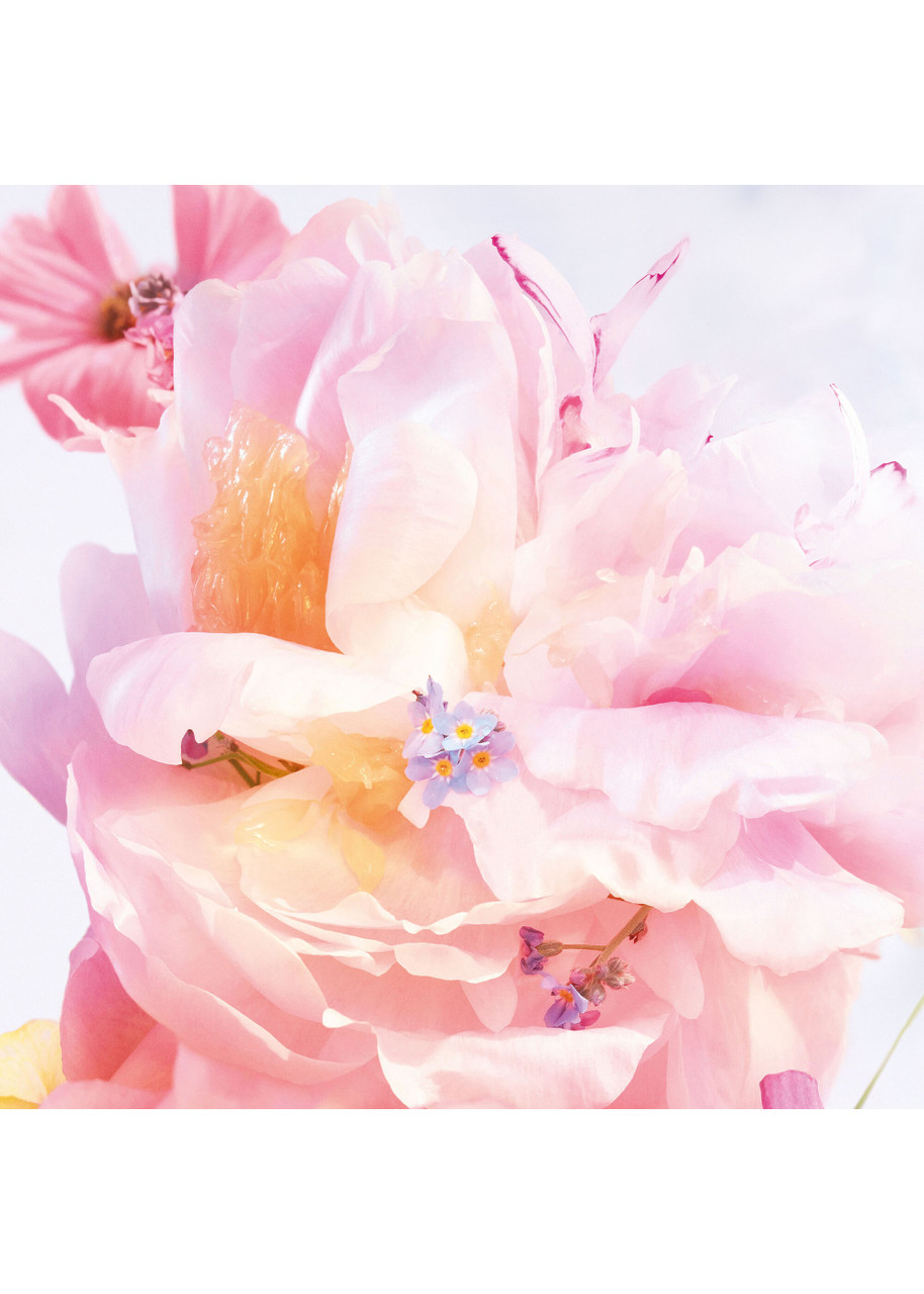 DIOR Miss Dior Blooming Bouquet Roller-Pearl 20ml | Harvey Nichols