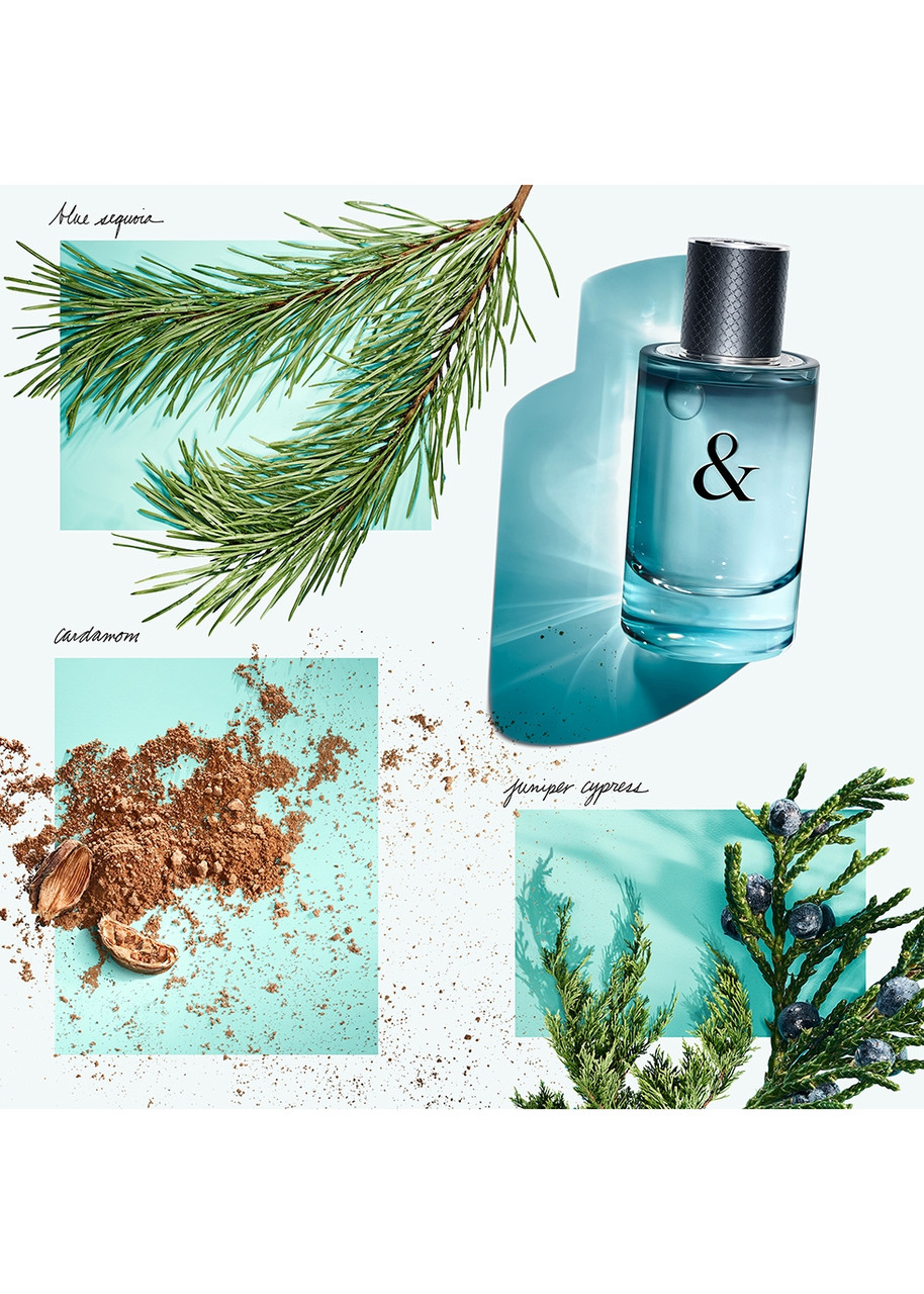 TIFFANY & CO. Tiffany & Love Eau De Toilette For Him 50ml | Harvey