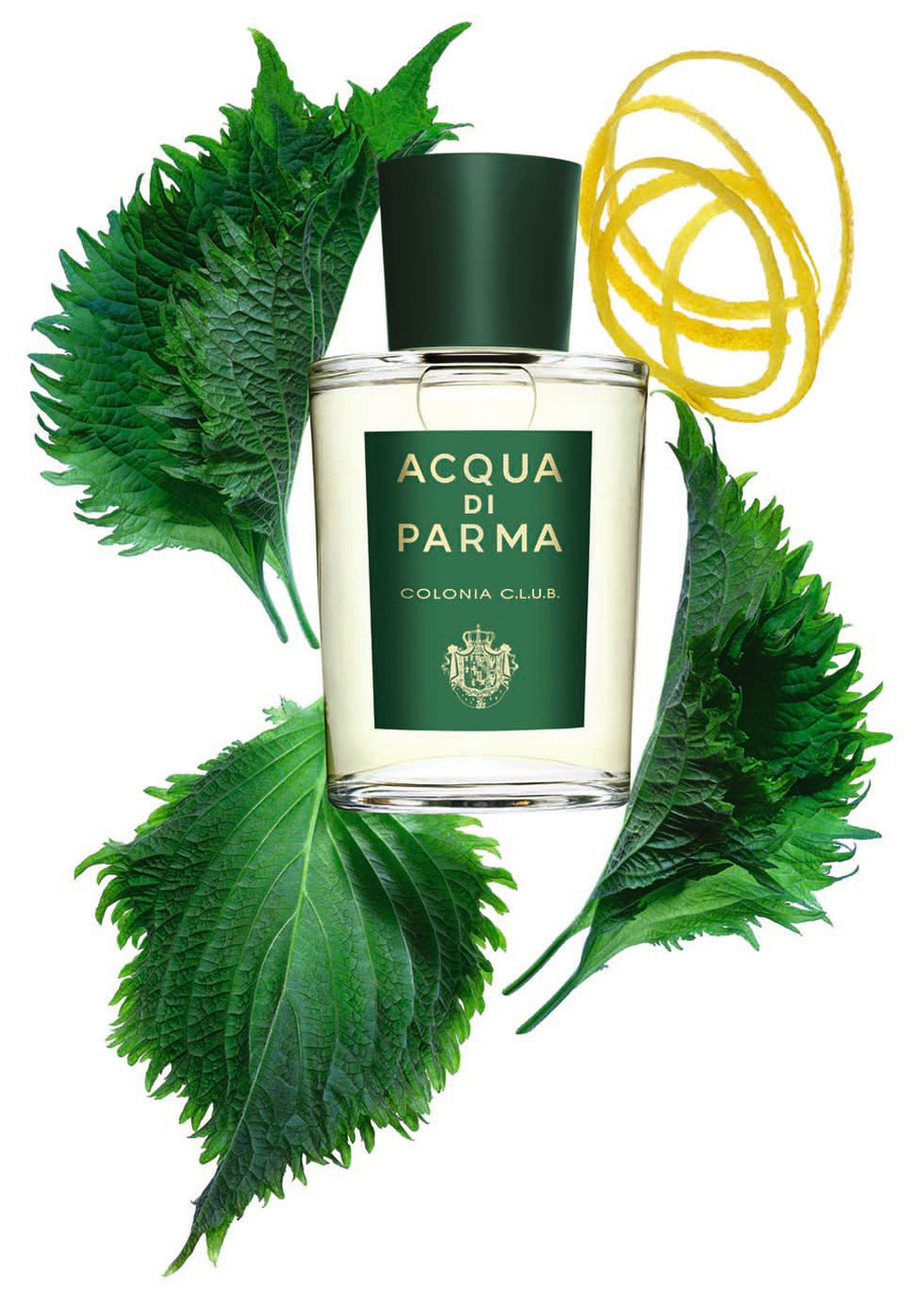 ACQUA DI PARMA Colonia C.L.U.B. Eau de Cologne 50ml | Harvey Nichols