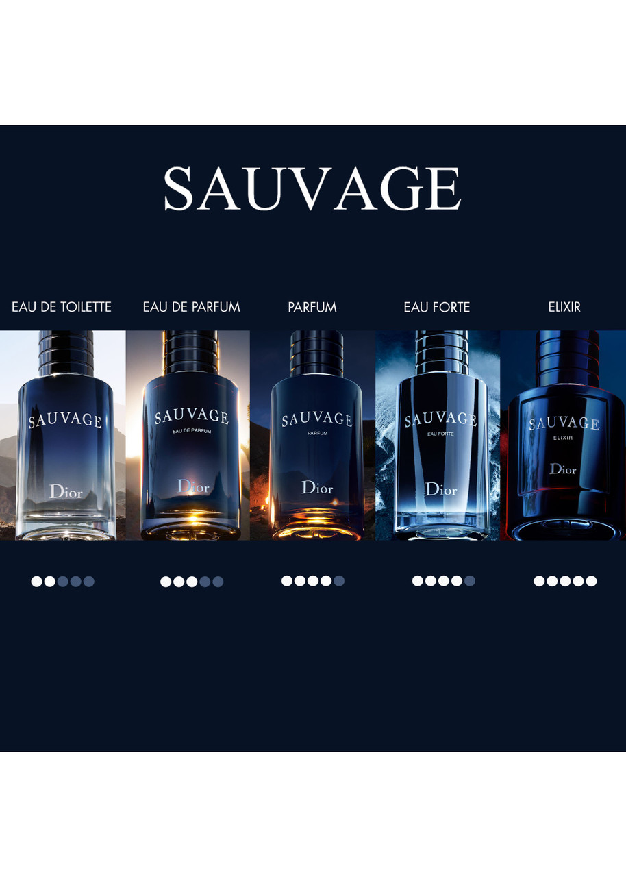DIOR Sauvage Eau de Parfum 100ml | Harvey Nichols