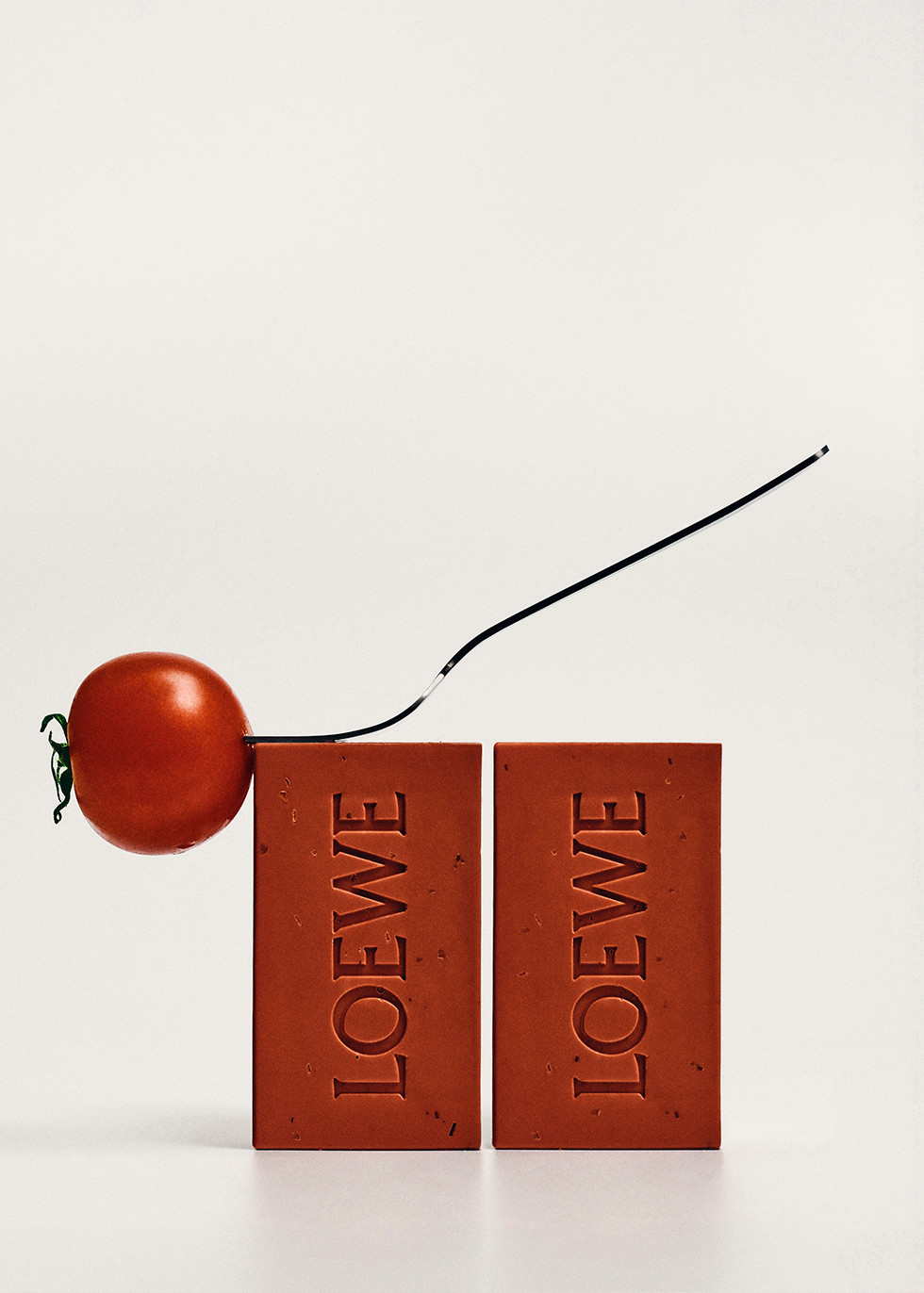 LOEWE Tomato Leaves Solid Soap Duo 2x125g | Harvey Nichols
