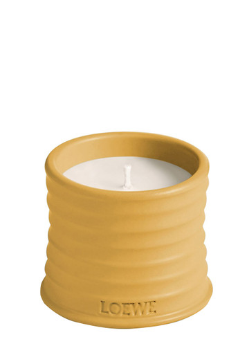 値下げ不可　LOEWE Cypress Scented Candle 170g 値下げ不可 LOEWE Cypress Scented Candle 170g 値下げ不可