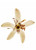 HERMETICA-Megaflower Eau De Parfum 50ml