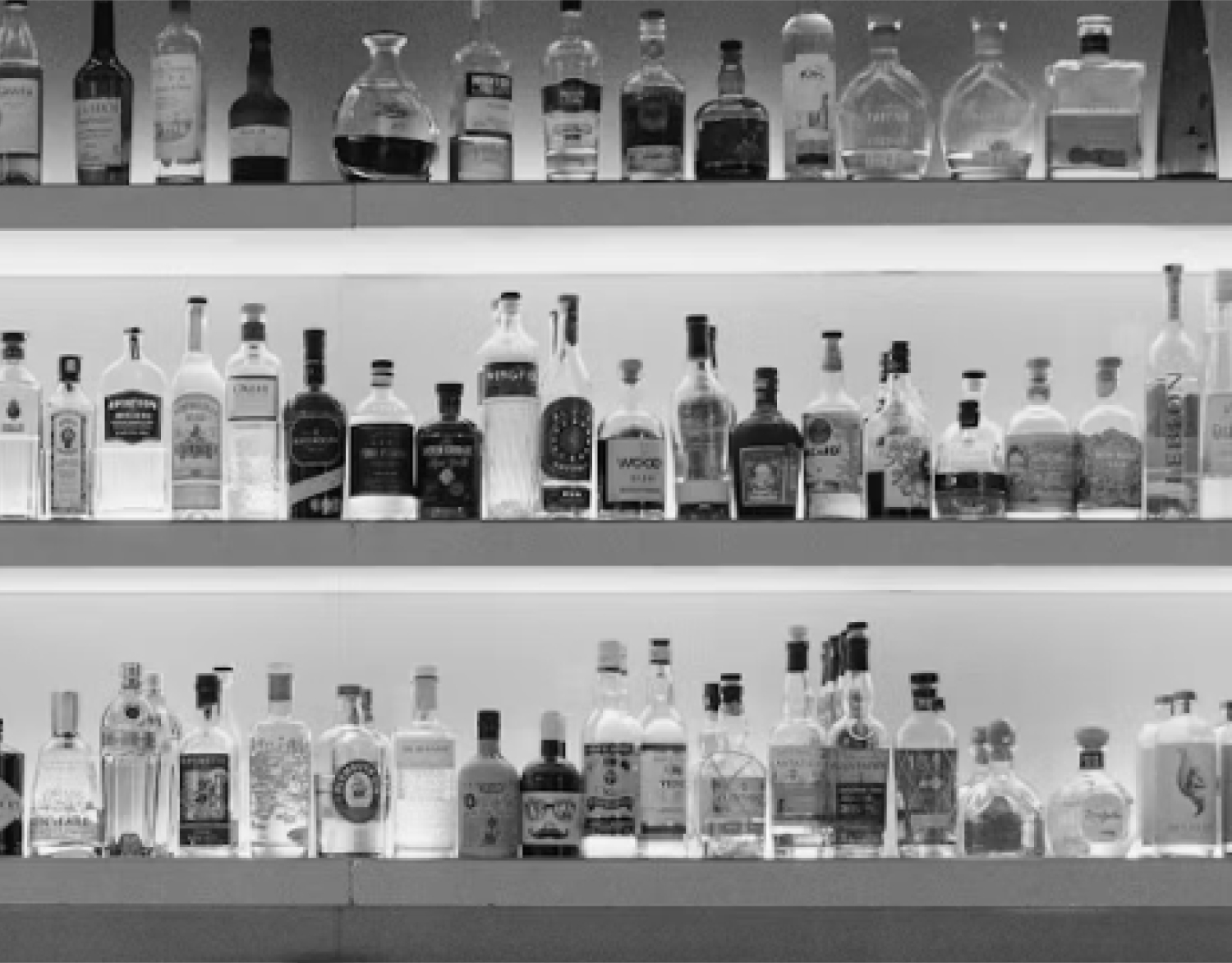 harvey-nichols-bristol-best-restaurants-in-bristol