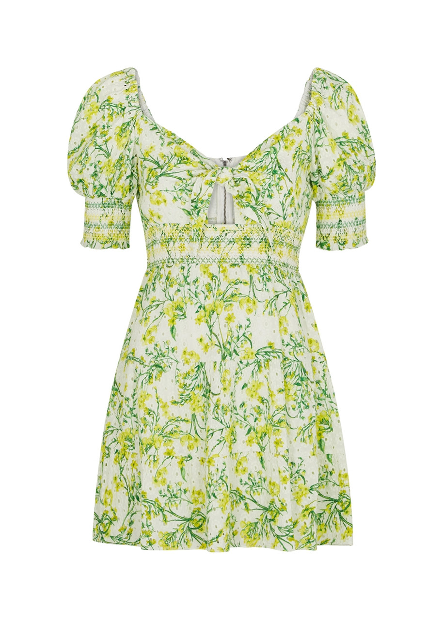 Alice + Olivia Kristie Floral-print Broderie Anglaise Mini Dress - Multicoloured