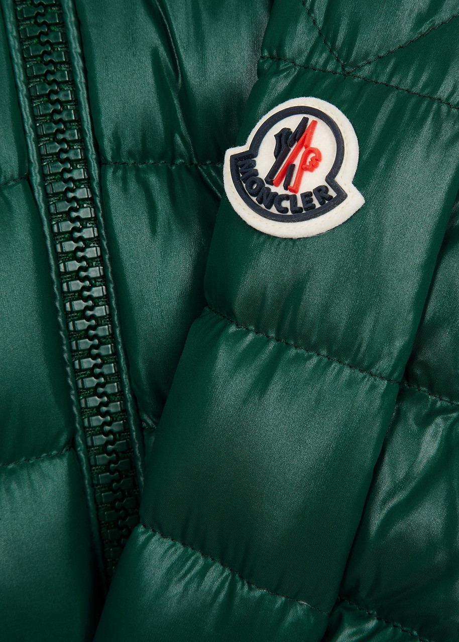 Moncler Kids Salzman Quilted Shell Jacket, Jacket, Green In Green