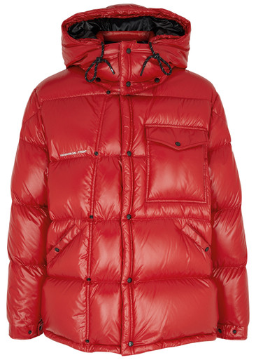 930698_red_1__60956.1679567766