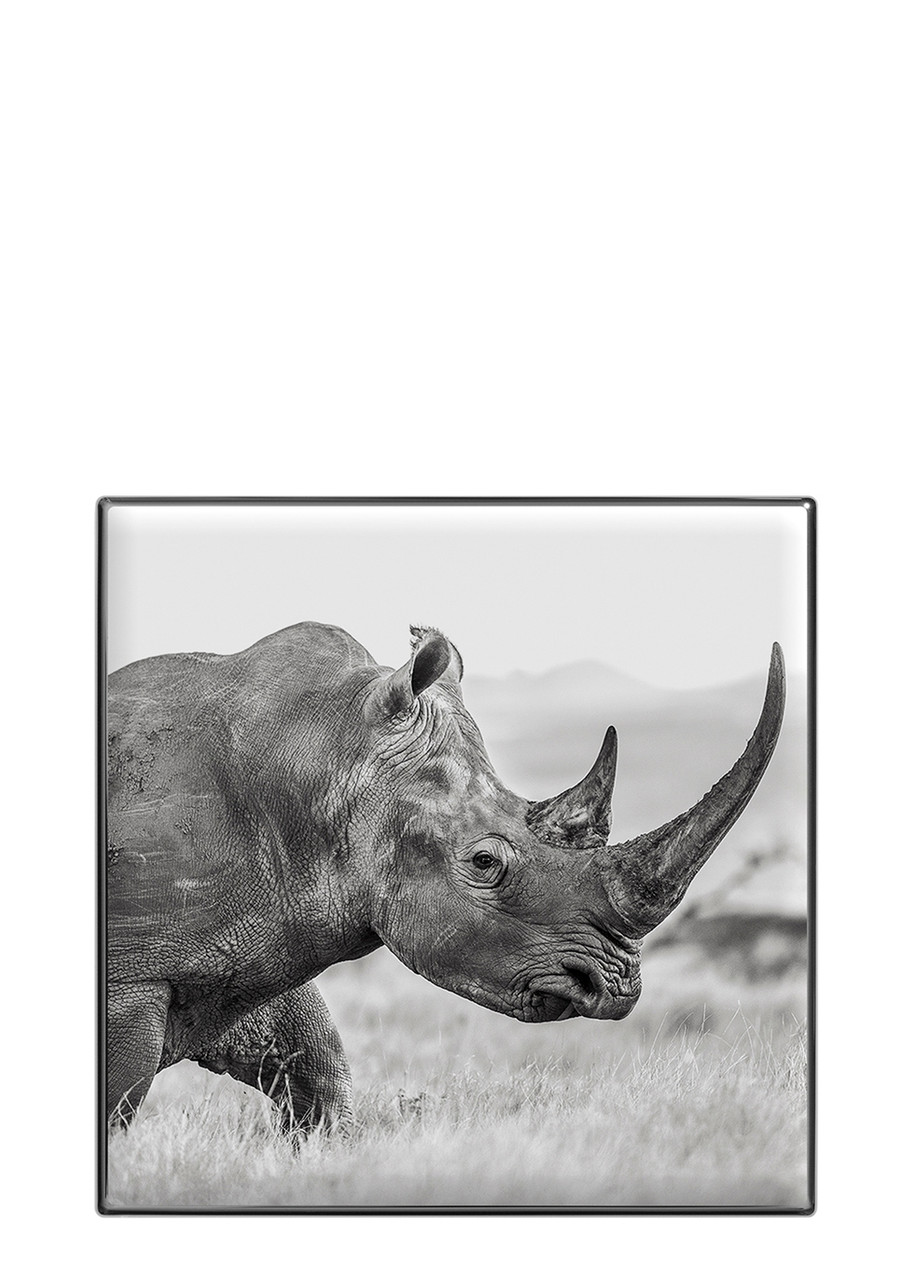 Chantecaille -luminescent Eye Shades In Rhinoceros