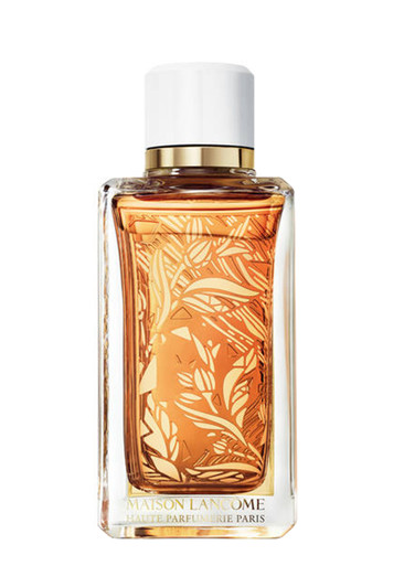 LANCÔME Maison Lancôme Santal Kardamon Eau De Parfum 100ml | Harvey Nichols