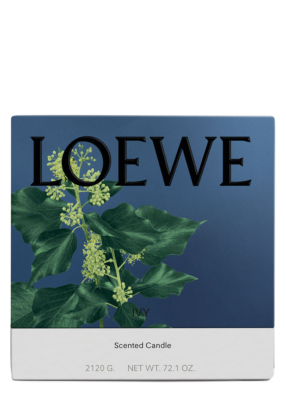  Loewe Ivy Candle - Large 2120g, Candle, Mid-intensity Fragrance, Woody Scent, Fresh, Verdant Aroma Of The Leafy, Climbing Vine, Floral Notes, Large 