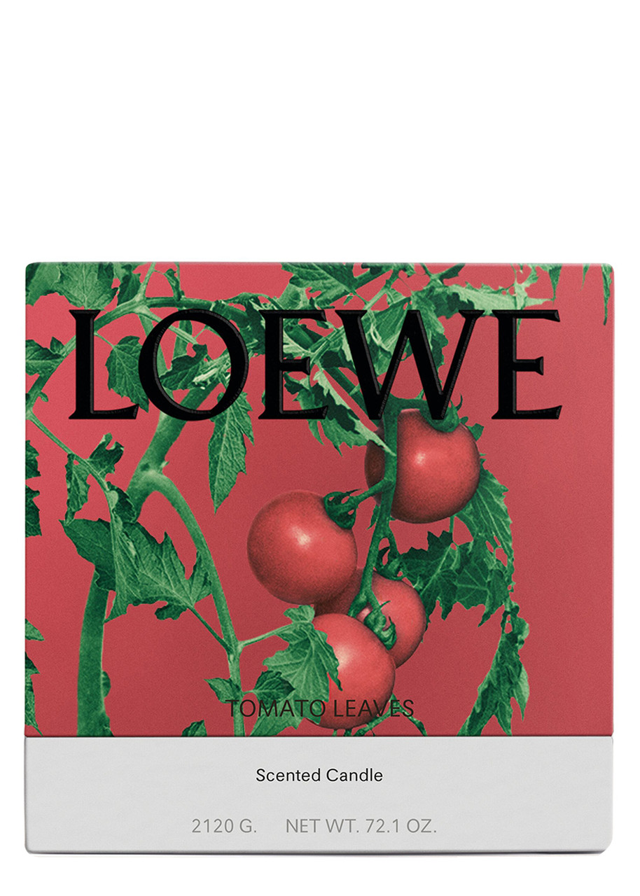  Loewe Tomato Leaves Candle - Large 2120g, Candle, High-intensity Fragrance, Green Scent That Evokes The Fresh, Verdant Aroma Of The Vines 