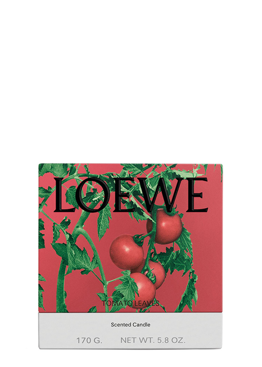  Loewe Tomato Leaves Candle - Small 170g, Candle, High-intensity Fragrance, Green Scent That Evokes The Fresh, Verdant Aroma Of The Vines 