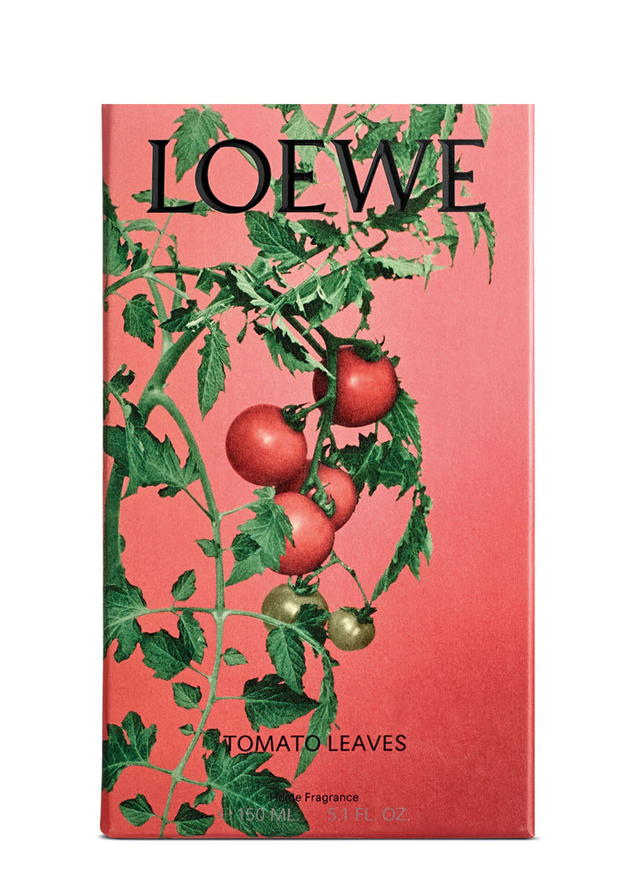  Loewe Tomato Leaves Home Fragrance 150ml, Room Spray, Green Scent, The Fresh, Verdant Aroma Of The Vines, Cassis Berries, 150ml 