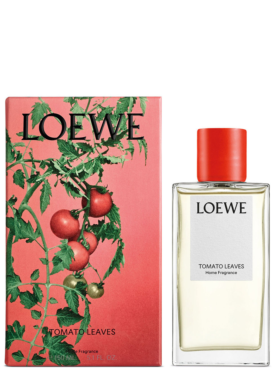  Loewe Tomato Leaves Home Fragrance 150ml, Room Spray, Green Scent, The Fresh, Verdant Aroma Of The Vines, Cassis Berries, 150ml 