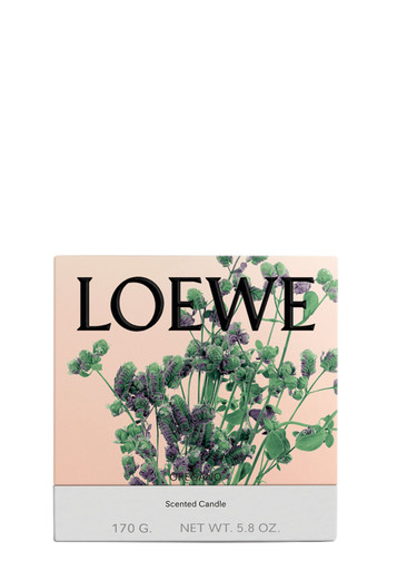 Loewe Oregano Candle - Small 170g, Candle, Mid-intensity Fragrance, Aromatic Perfume of a Mediterranean Herb Garden, Woody and Amber Notes, Small
