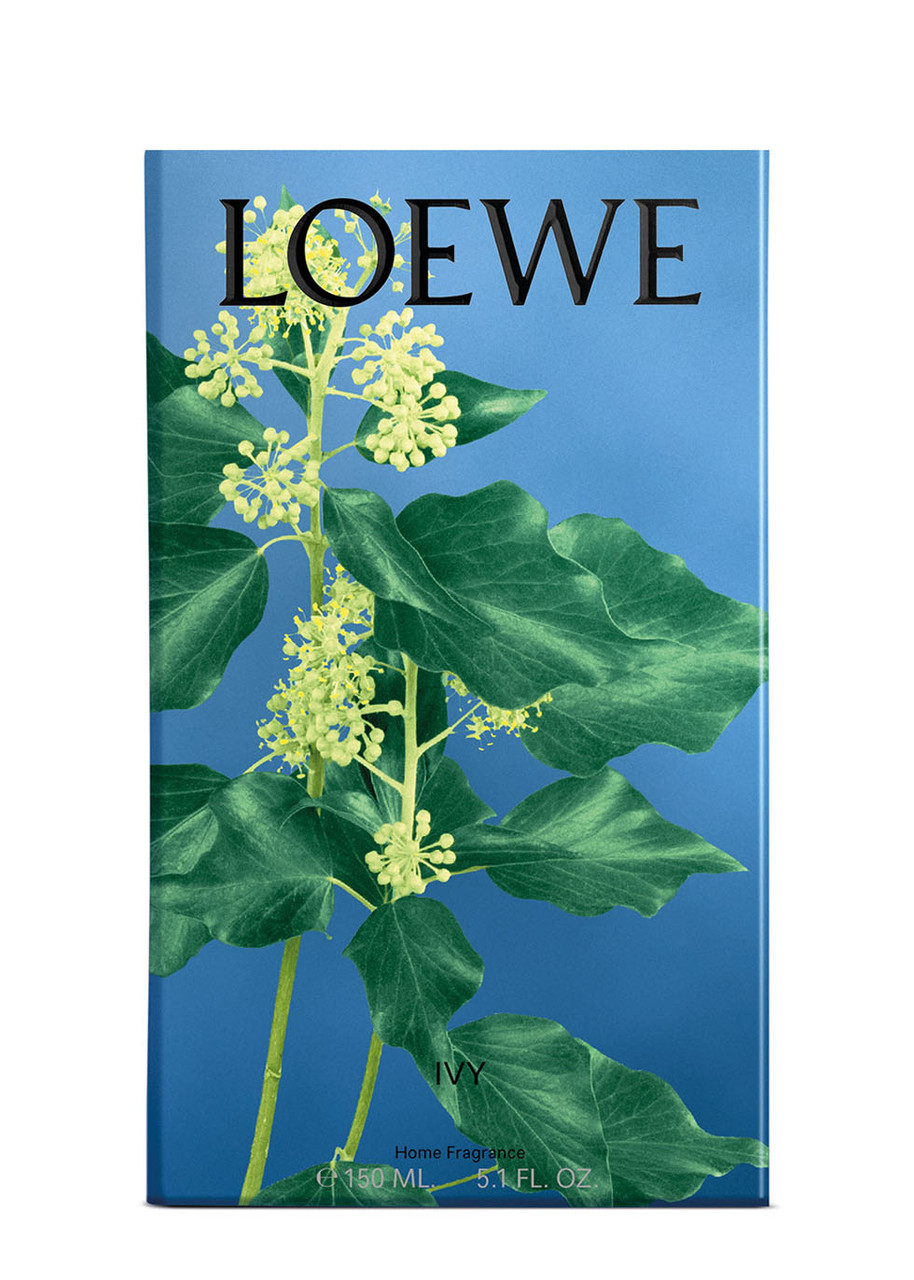 LOEWE LOEWE IVY HOME FRAGRANCE 150ML, ROOM SPRAY, WOODY SCENT, FRESH, VERDANT AROMA OF THE LEAFY, CLIMBING