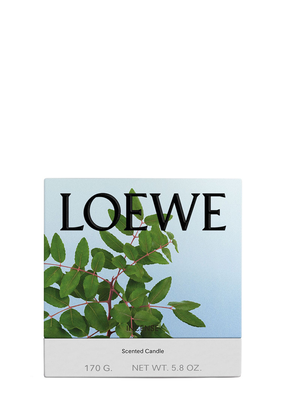  Loewe Incense Candle - Small 170g, Candle, Mid-intensity Fragrance, Balsamic, Woody Scent, Sweet, Fresh Notes, Small, 170g 