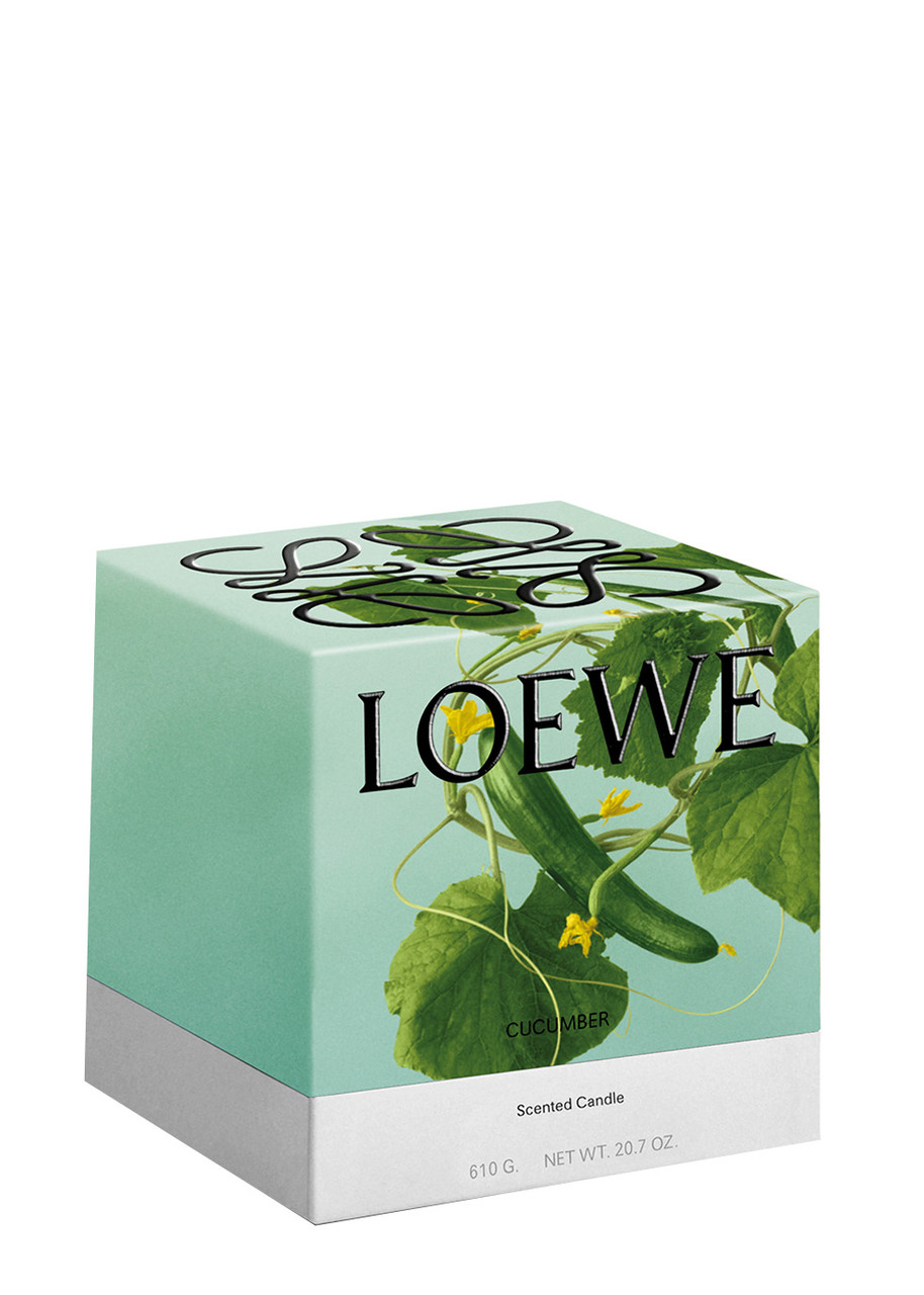  Loewe Cucumber Candle - Medium 610g, Candle, High-intensity Fragrance, Juicy Cucumber, Just-picked From The Vine, Fresh Mint Notes, Medium, 610g 