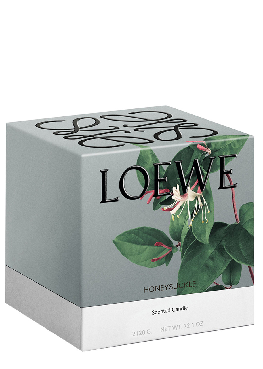  Loewe Honeysuckle Candle - Large 2120g, Candle, Low-intensity Fragrance, Floral Scent, Sweet Aroma Of This Flowering Vine, Large, 2120g 