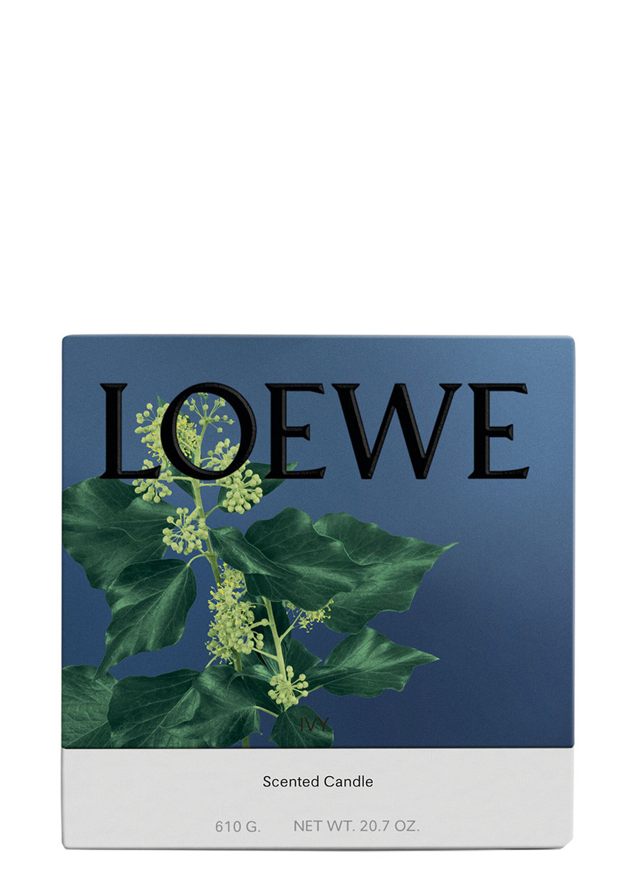  Loewe Ivy Candle - Medium 610g, Candle, Mid-intensity Fragrance, Woody Scent, Fresh, Verdant Aroma Of The Leafy, Climbing Vine, Floral Notes, Medium 