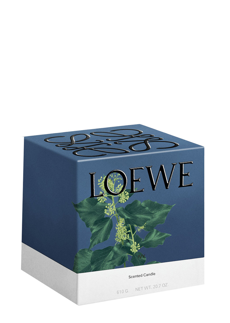  Loewe Ivy Candle - Medium 610g, Candle, Mid-intensity Fragrance, Woody Scent, Fresh, Verdant Aroma Of The Leafy, Climbing Vine, Floral Notes, Medium 
