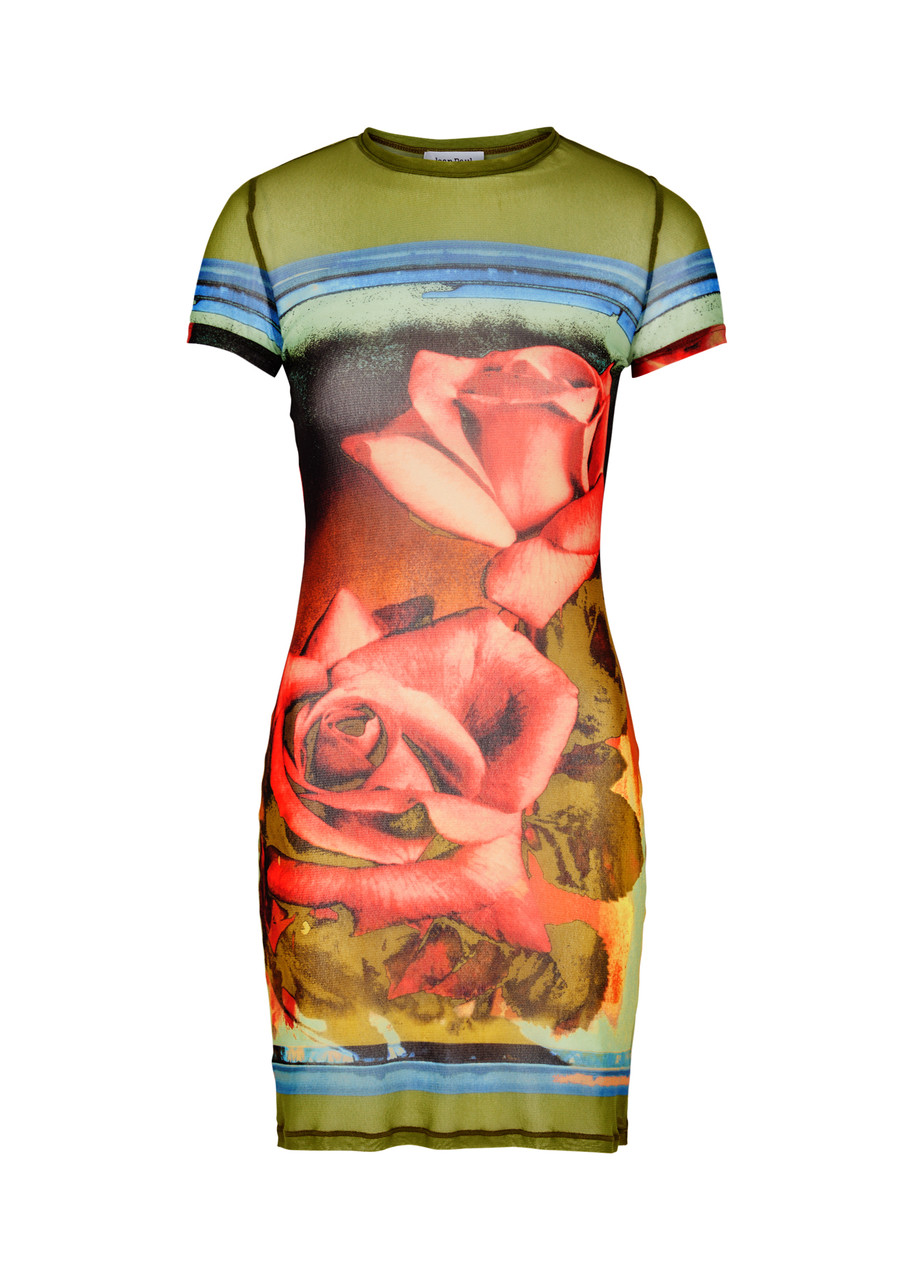 Shop Jean Paul Gaultier Roses Printed Tulle Mini Dress In Multicoloured