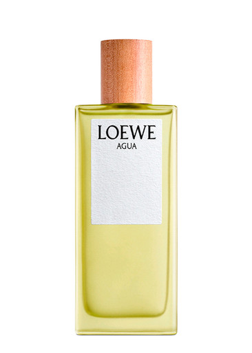 Loewe Agua Eau De Toilette 100ml In White