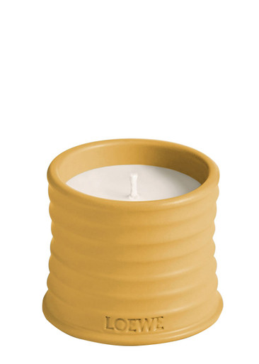 Loewe Wasabi Candle In Orange