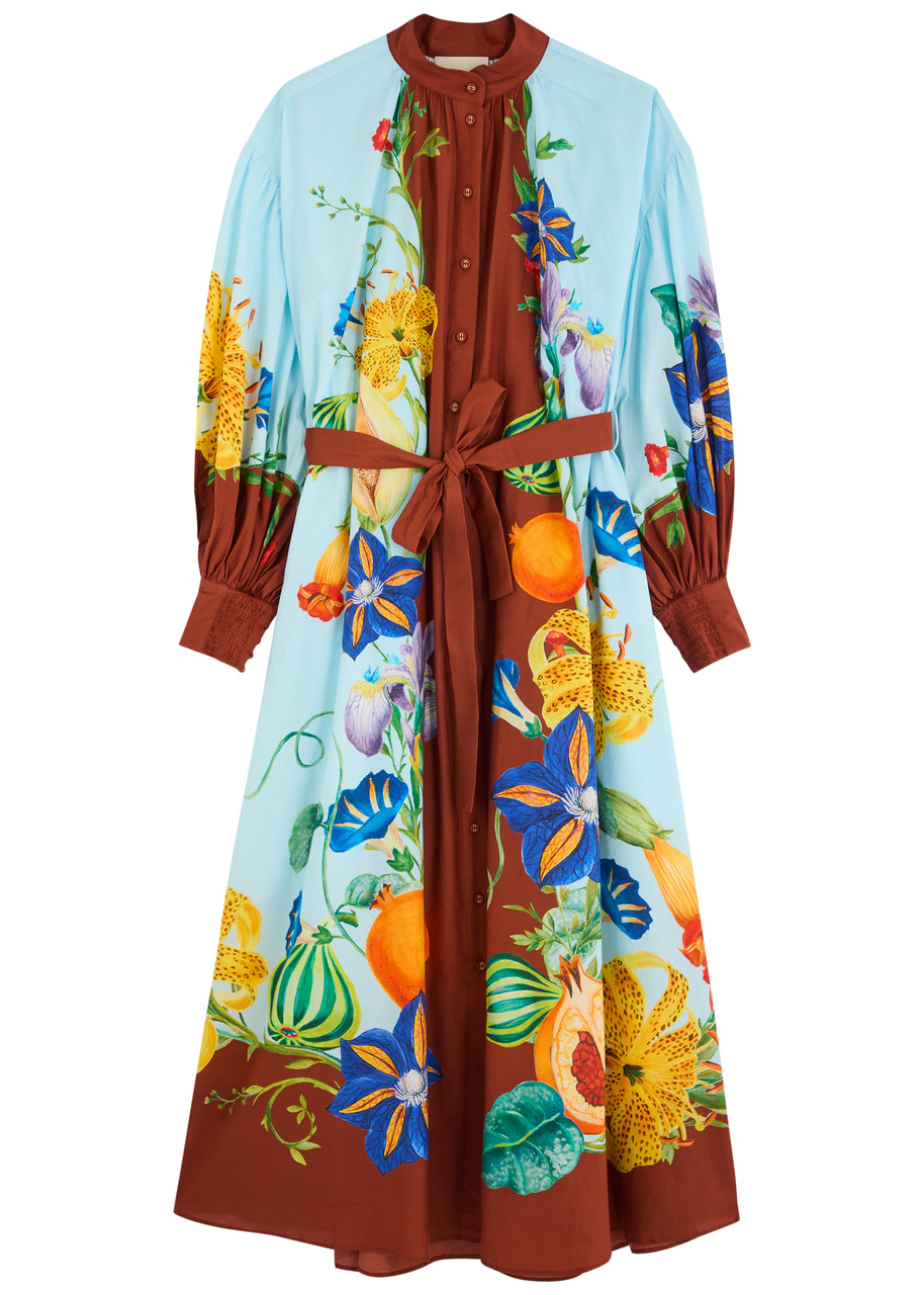 Alemais Dahlia Printed Cotton-blend Midi Shirt Dress In Multicoloured