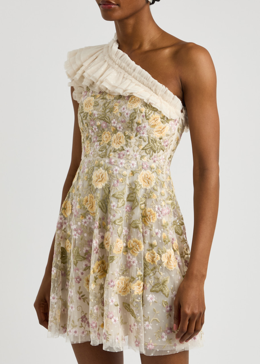 Needle & Thread Posy Pirouette Floral-embroidered Tulle Mini Dress In Cream