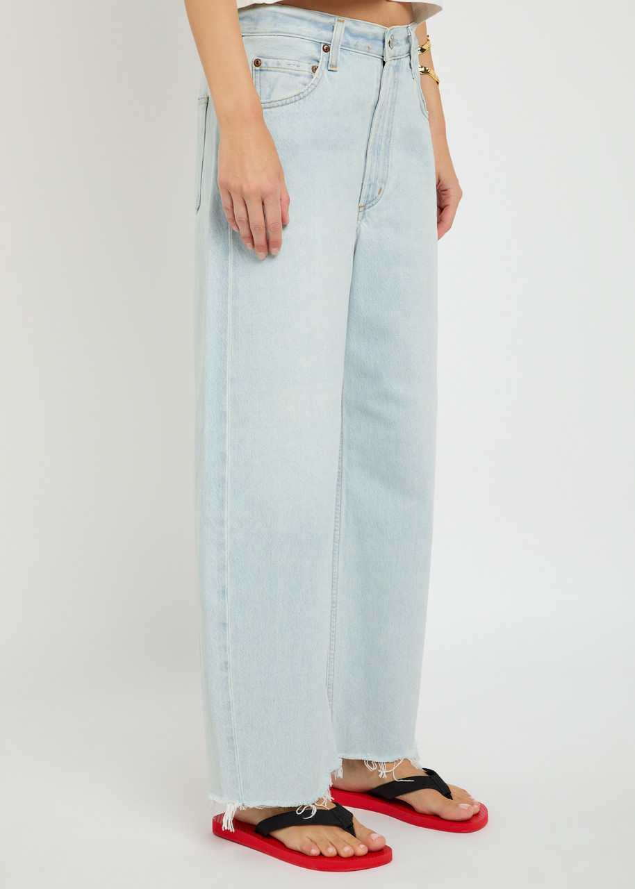 Agolde Low Curve Barrel-leg Jeans