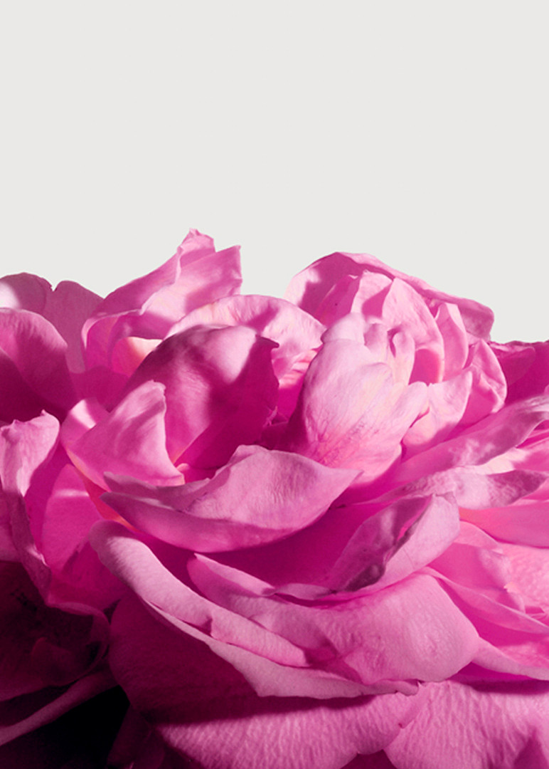  Matiere Premiere Radical Rose Extrait De Parfum 50ml 