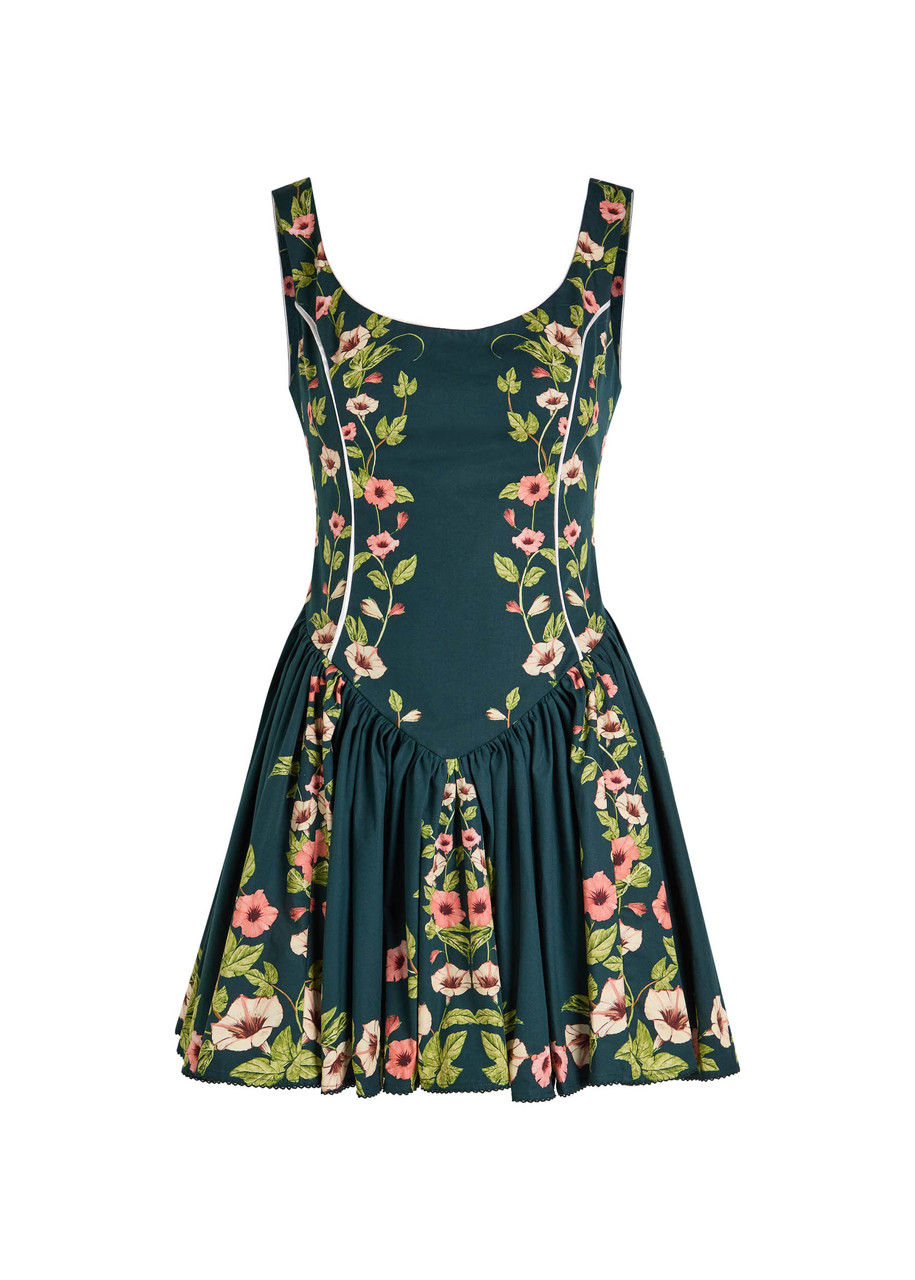 Agua By Agua Bendita Pluma Mosquetero Floral-print Cotton Mini Dress In Multi