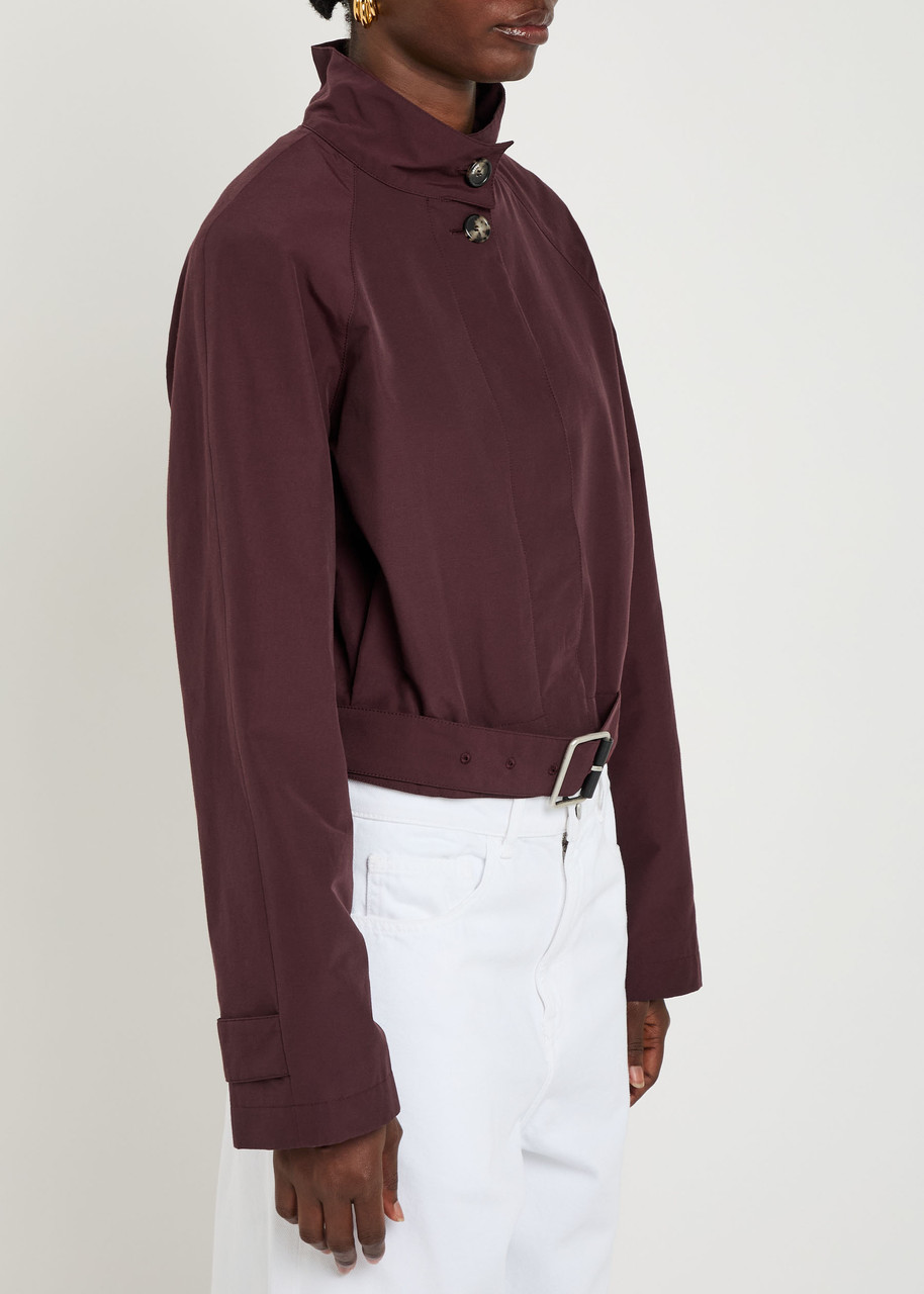 Loewe Belted Cotton-blend Poplin Trench Jacket In Purple
