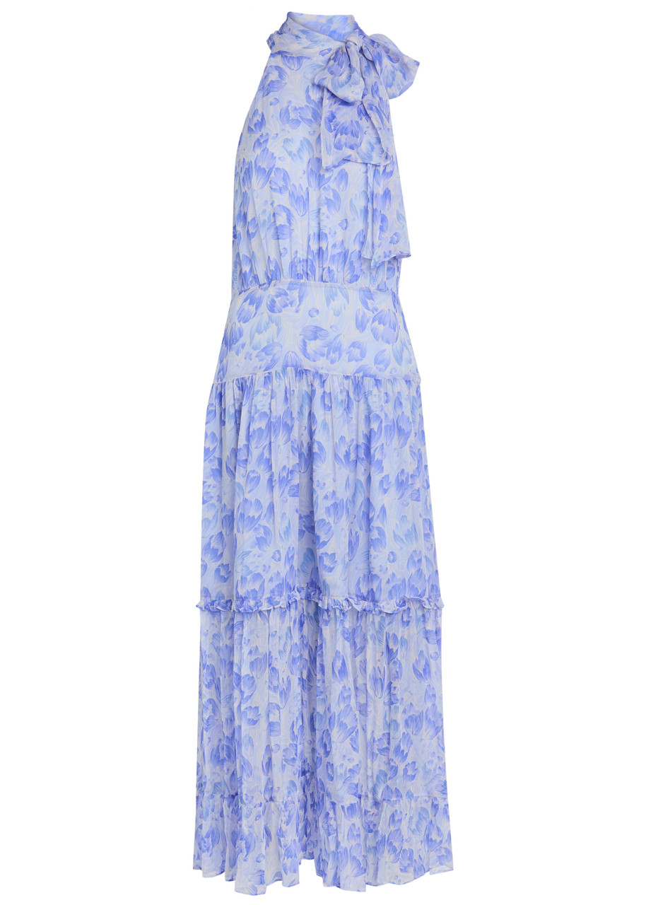 Rixo Abi Floral-print Chiffon Maxi Dress - Light Blue - 16 (UK 16 / XL)