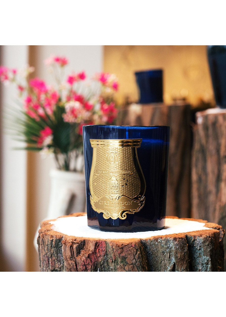  Cire Trudon Tadine Scented Candle 270g 