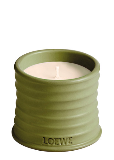 Loewe Pistachio Small Scented Candle 170g