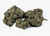 Medellin THCA Flower