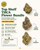 top shelf thca flower top shelf thca flower