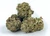 Gorilla Glue #4 THCA Flower