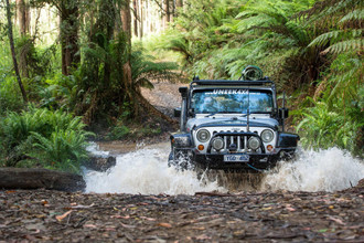 What Type of Bull bar do I Need?  What Type of Bull bar do I Need?