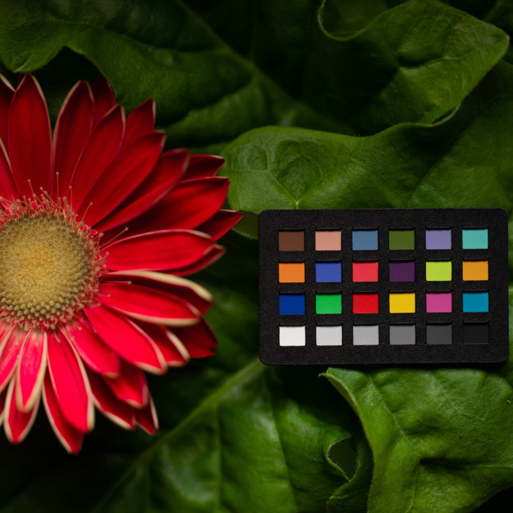 Calibrite ColorChecker Classic Nano (CCC-NANO)