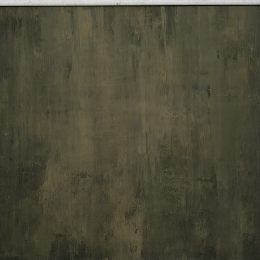 Gravity Backdrops Olive Green Strong Texture M