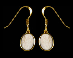 Oval Mammoth Ivory 14K Gold Cup French Wire Earring