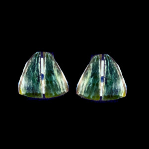 This unique teardrop shaped Alaskan Jade piece is inlayed into a beautiful Sterling Silver earring that is accentuated with a Sterling Silver bar.  These classy earrings have a post backing.  The measurements of the earrings are approximately .30" x .36".
